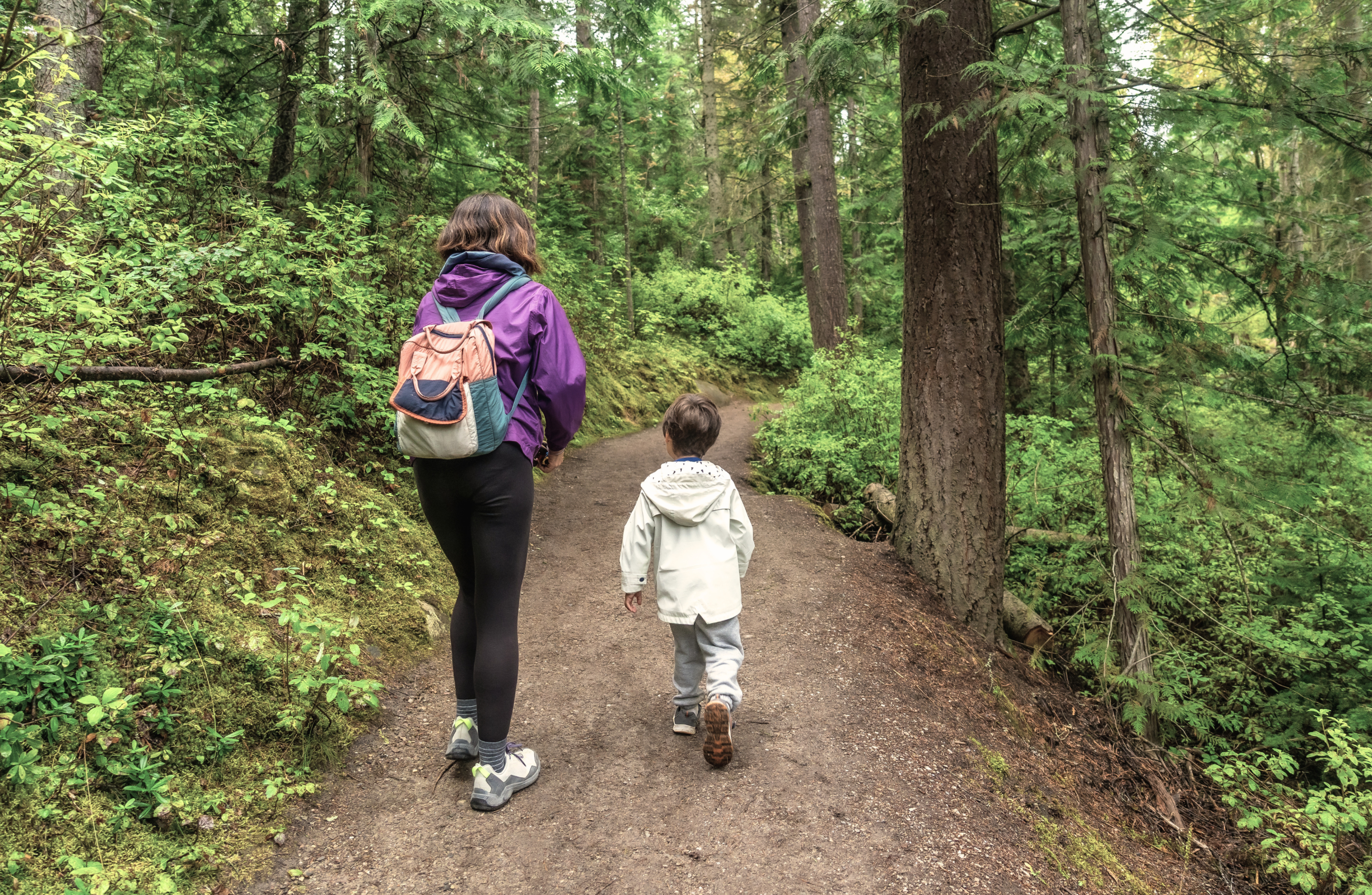 An adult and a child walking a forest trail together