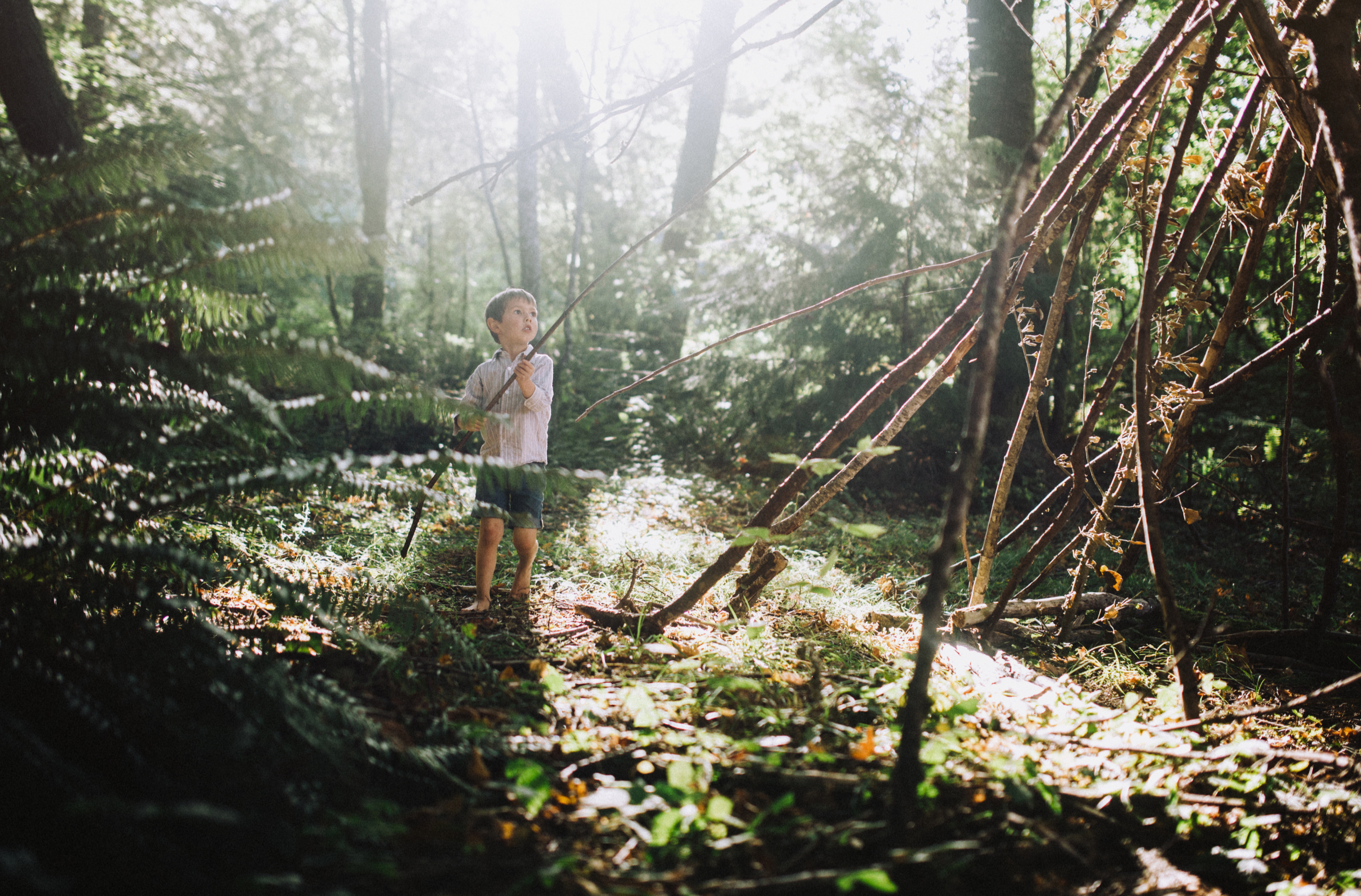 A child exploring a misty forest clearing
